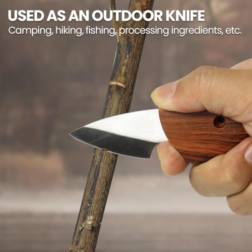 Mini Stainless Steel Wooden Handle