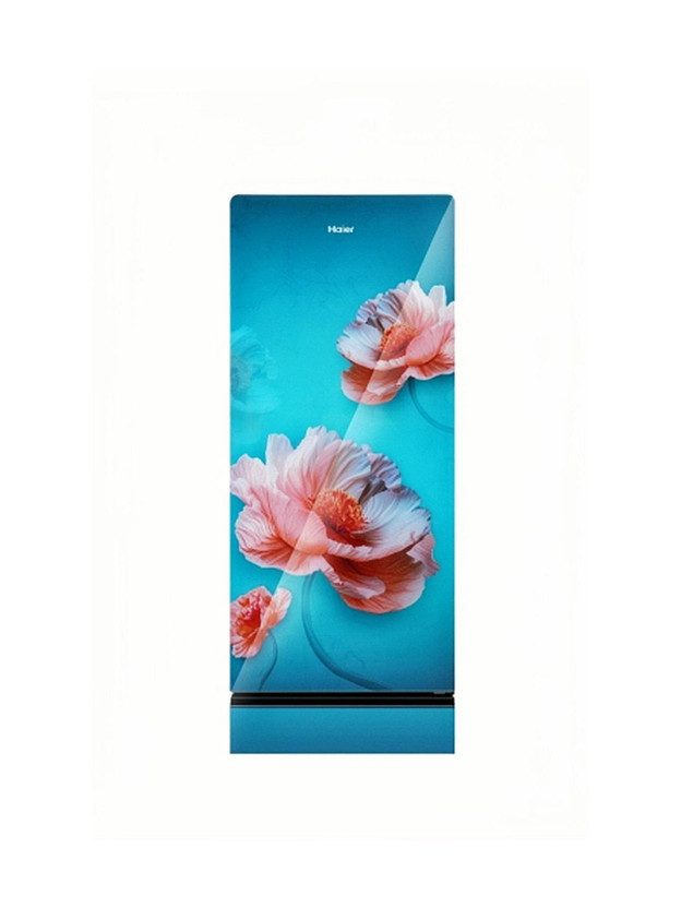 Haier 190 L Direct Cool Single Door 2 Star Refrigerator with Fas - Image 9