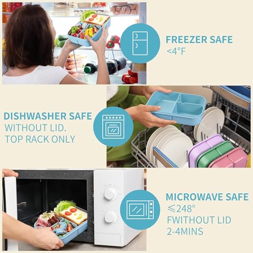 Claiez Tiffin Box Lunch Box