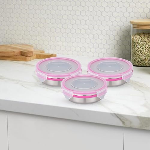 STEELLOCK Stainless Steel Airtight Container