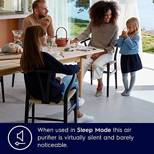ELECTROLUX Air Purifier for home