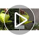 UGAOO 5L Watering Can