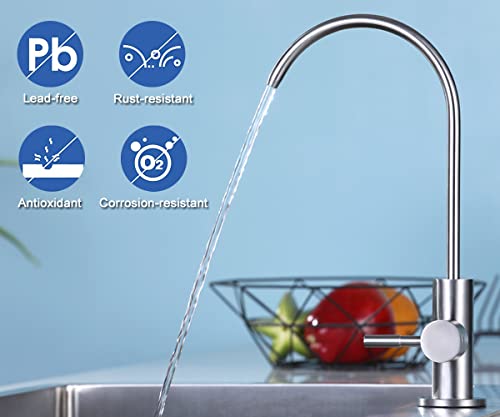 ESOW Kitchen Drinking Water Faucet