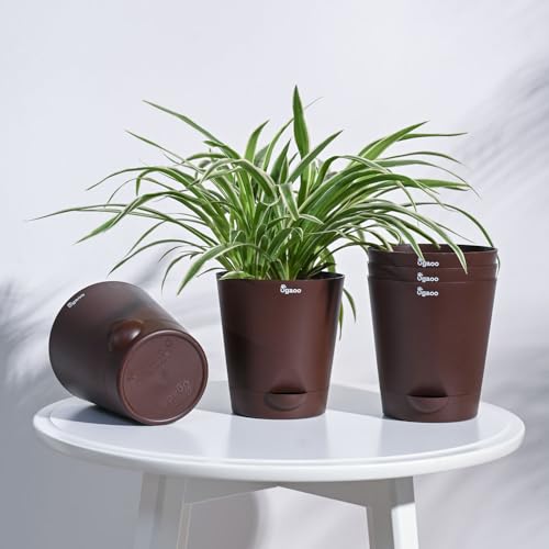 UGAOO 5 Inch Krish Self
