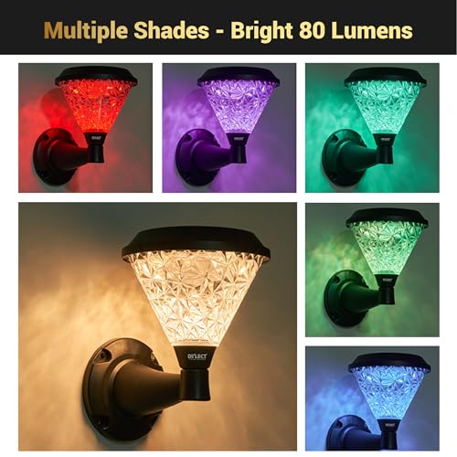 Dylect® Luxe Decorative Solar Light/Lamp