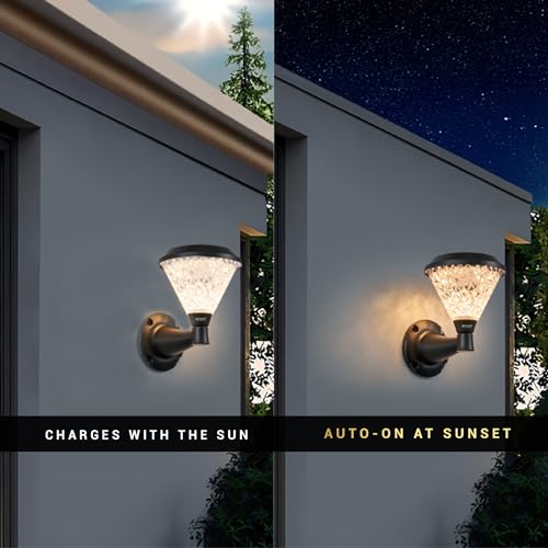 Dylect® Luxe Decorative Solar Light/Lamp