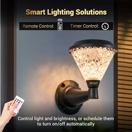 Dylect® Luxe Decorative Solar Light/Lamp