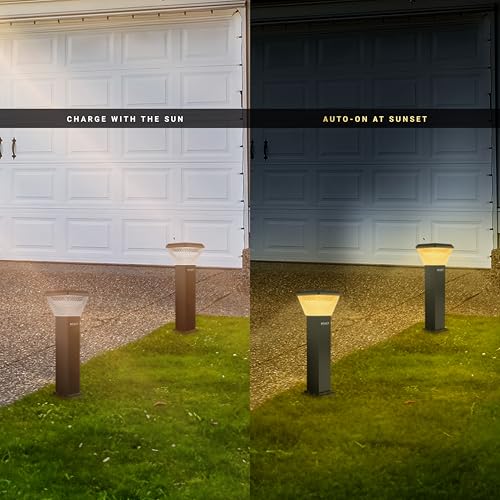 Dylect® Luxe Decorative Solar Light