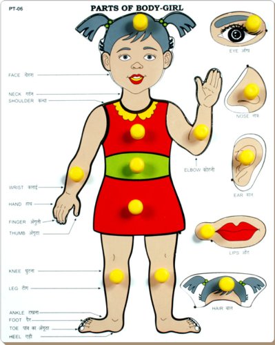 Little Genius Parts of Body - Girl with Big Knob, Red