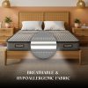 Neobest Orthopedic Memory Foam 3-Layer