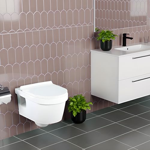 WASSMIST Commode Toilet | Western