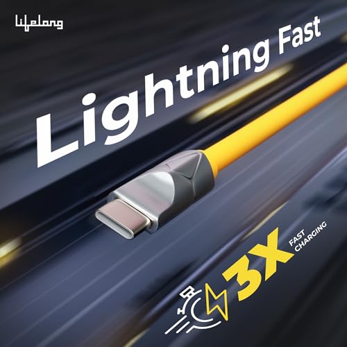Lifelong Electronics 66W PD USB
