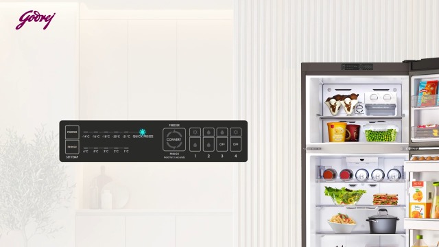 Godrej 308L 2 Star