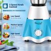 Skystar Elegant Mixer Grinder & 750 Dry Iron Super Combo 700 W Mi - Image 4