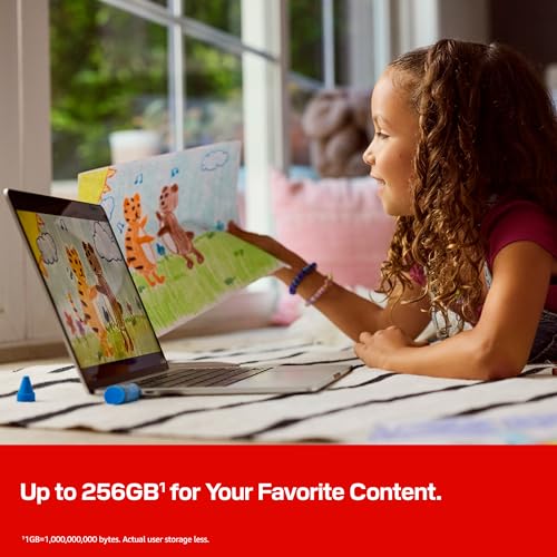 SANDISK Crayola USB Type-C 256GB