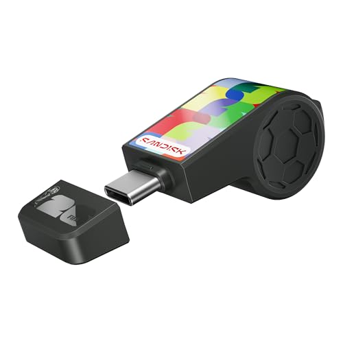 SANDISK USB Type-C Flash Drive