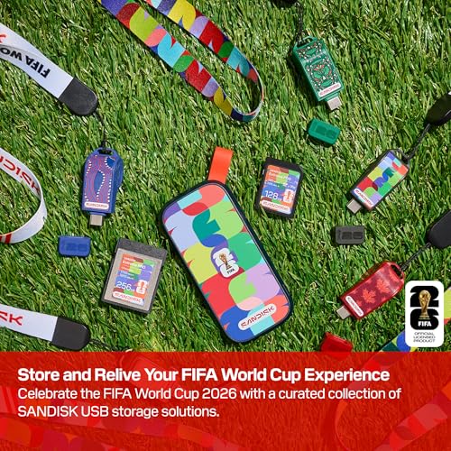 SANDISK USB Type-C Flash Drive