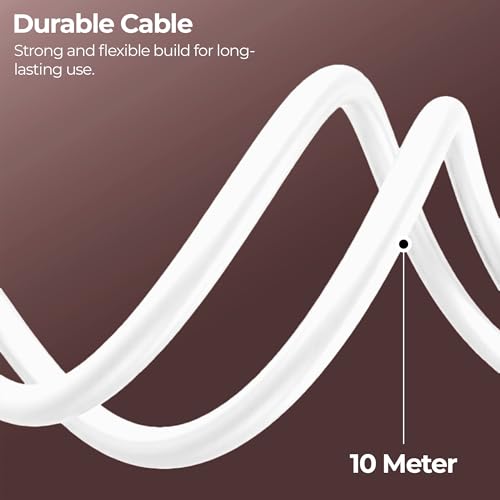Zebronics Cat 6 Ethernet Cable