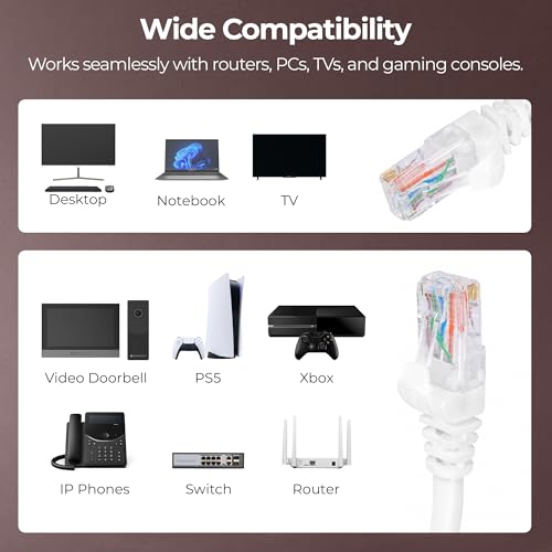 Zebronics Cat 6 Ethernet Cable