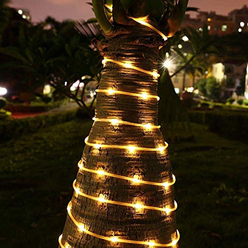 Desidiya ® 30 Meter LED