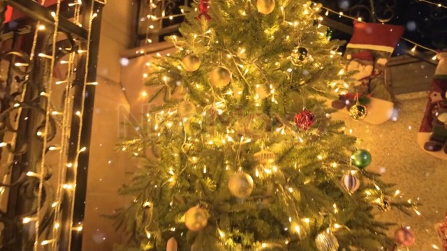 36 Feet LED Fairy String