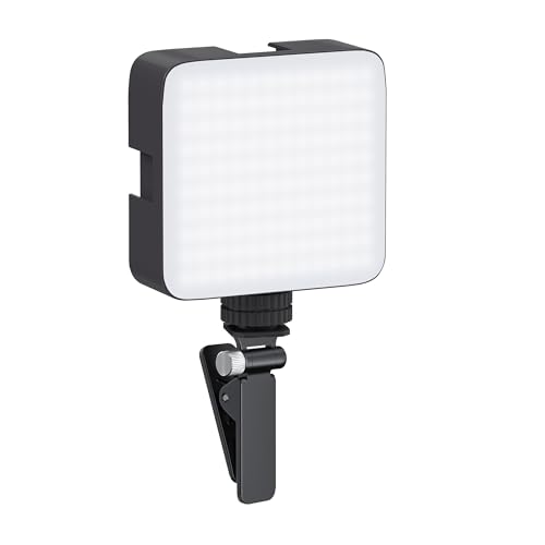 Amazon Basics Camera Video Light