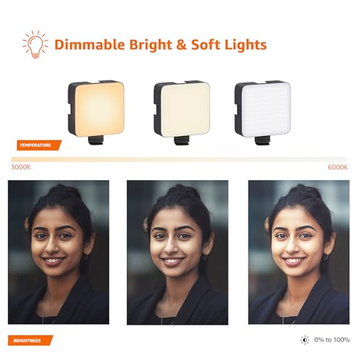 Amazon Basics Camera Video Light