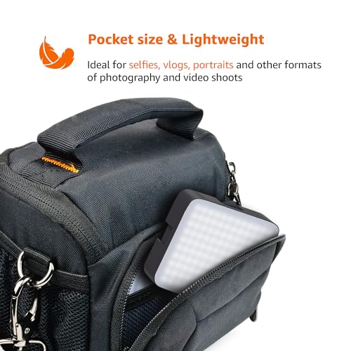 Amazon Basics Camera Video Light