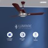 RR Lumaire Underlight with 1 Year Warranty 1200 mm Ceiling Fan (W - Image 3