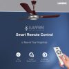 RR Lumaire Underlight with 1 Year Warranty 1200 mm Ceiling Fan (W - Image 4