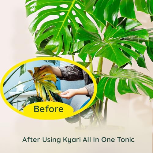 Kyari All-in-One Plant Tonic 250