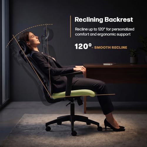 DROGO Ergonaut Ergonomic Office Chair