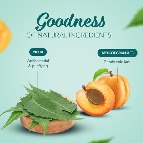 Himalaya Herbals Purifying Neem Scrub, 100gm - Image 4