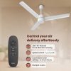 Reo by Havells Unnovate|Remote Controlled|Reverse