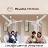 Reo by Havells Unnovate|Remote Controlled|Reverse