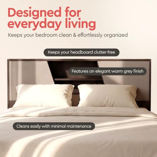 Interio by Godrej Hannah King Size Engineered Wood Bed - Image 4