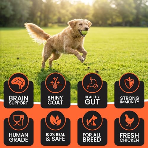 Dr. Pets Pack of 5