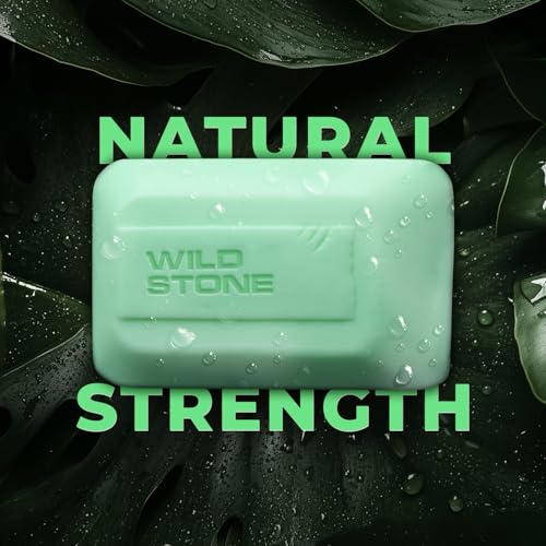 Wild Stone 4 Ultra Sensual