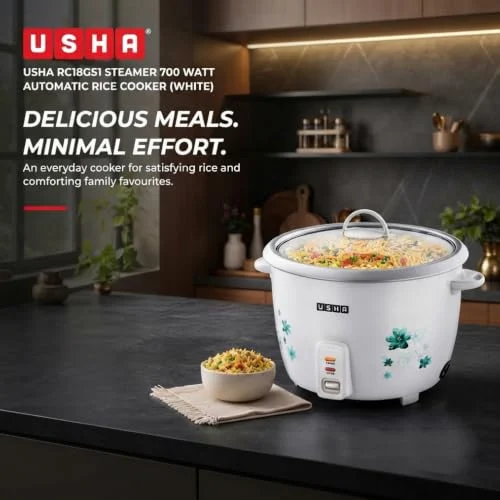 USHA RC18GS1 Steamer 700 Watt