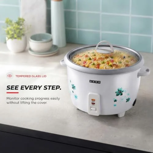 USHA RC18GS1 Steamer 700 Watt
