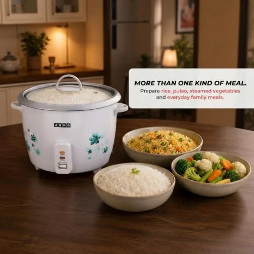USHA RC18GS1 Steamer 700 Watt