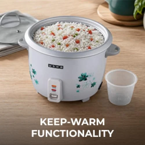 USHA RC18GS1 Steamer 700 Watt